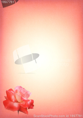 Image of Pink Rose Print Writing Paper