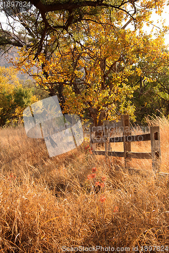 Image of Old Wooden Farm Fence