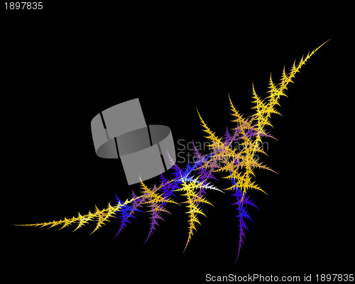 Image of Abstract Fractal Art Sharp Fern Object