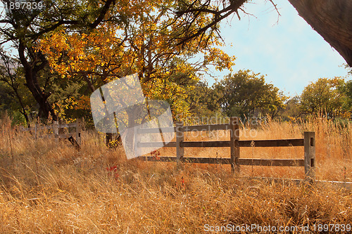 Image of Old Wooden Farm Fence