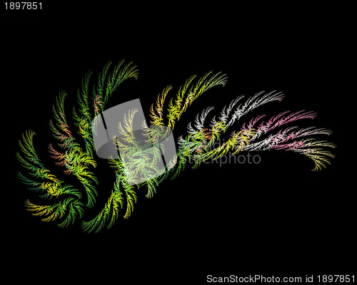 Image of Abstract Fractal Art Wing Object