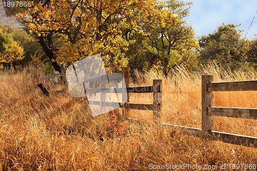 Image of Old Wooden Farm Fence