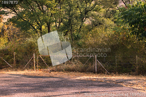 Image of Road to Nowhere