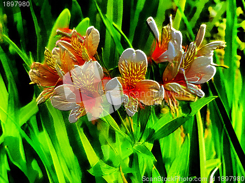 Image of 3D Orange Leave Lily with Brown Spots