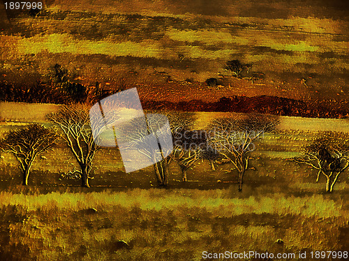 Image of 3D Bare Trees in Nature