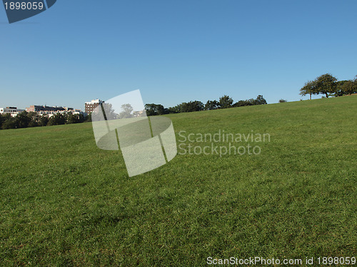 Image of Primrose Hill London