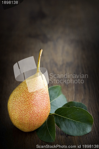 Image of Pear