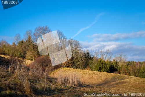 Image of Autumn landscape with forest and blue sky