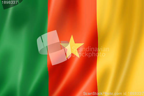 Image of Cameroon flag