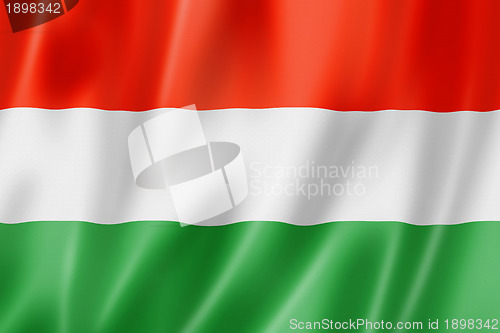 Image of Hungarian flag