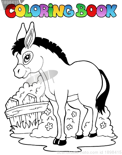 Image of Coloring book donkey theme 1