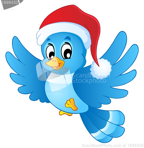 Image of Blue bird in Christmas hat