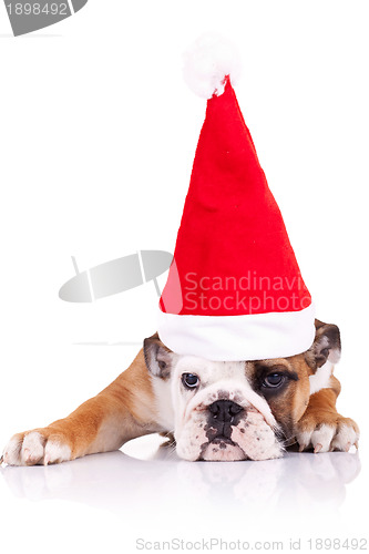 Image of cute shy little santa 