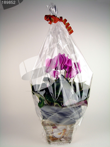 Image of Flower gift