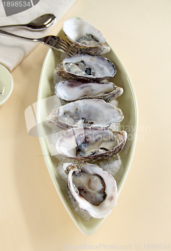 Image of Oysters Natural