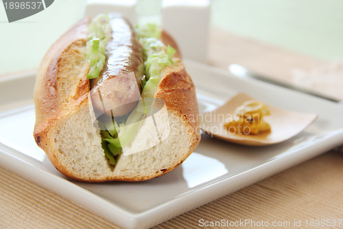 Image of Pork And Cabbage Hot Dog