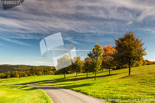 Image of On the golf course 