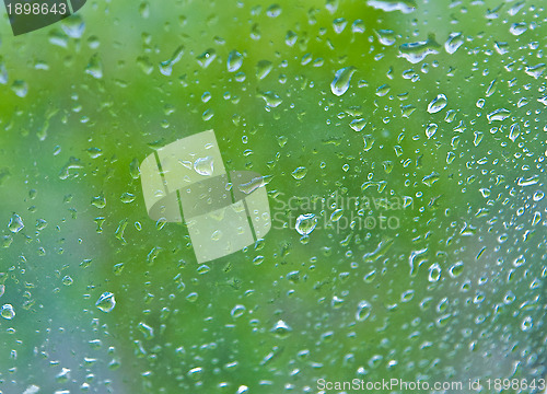 Image of drop