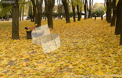Image of autumn