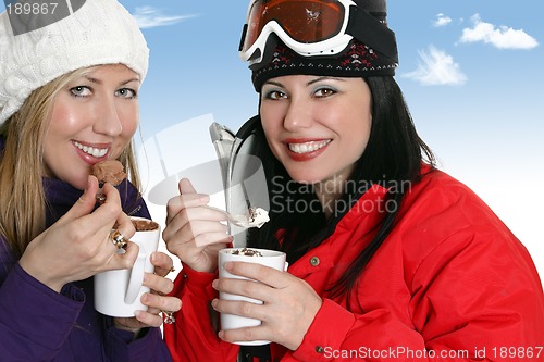 Image of Winter Enjoyment