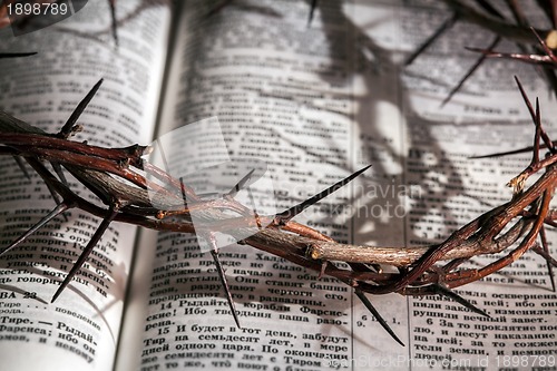 Image of This is a crown of thorns