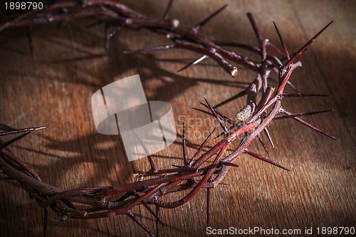 Image of This is a crown of thorns