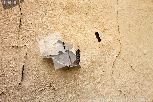 Image of Home Repair Maintenance Water Damaged Peeling Paint 