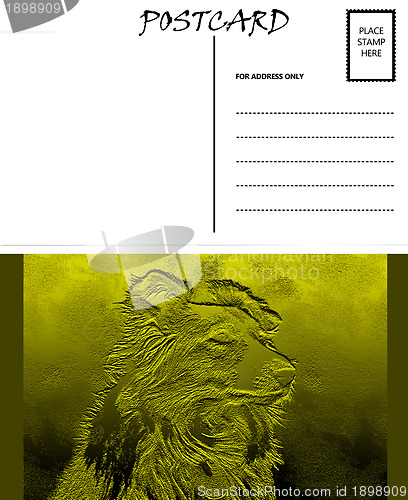 Image of Empty Blank Postcard Template Collie Dog Image 