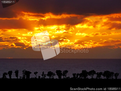 Image of Sea Sunset with Nature Silhouette