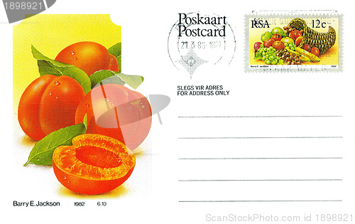 Image of South Africa Postage Fruit Postcard with Printed Stamp 1982