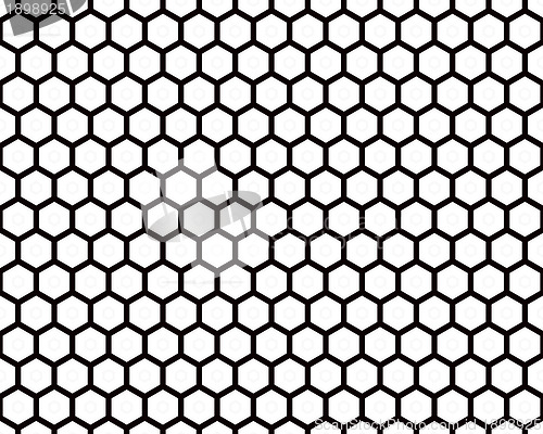 Image of Black Wire Mesh 