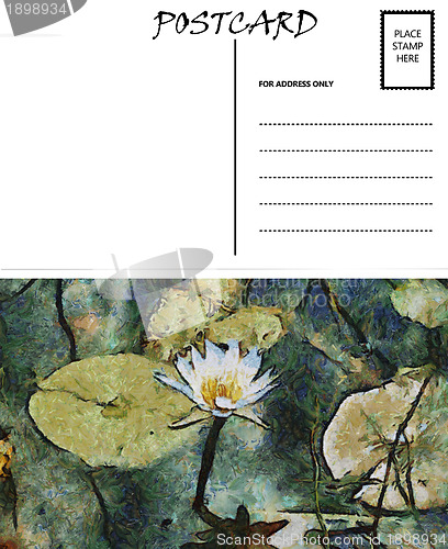 Image of Empty Blank Postcard Template Water Lilly Image 