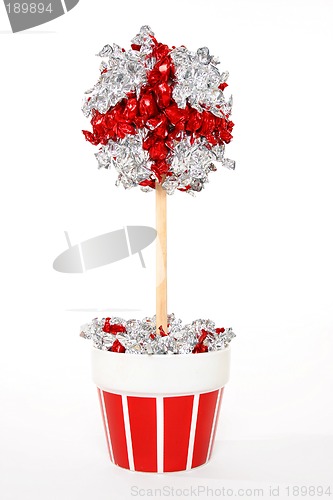 Image of Candy Tree