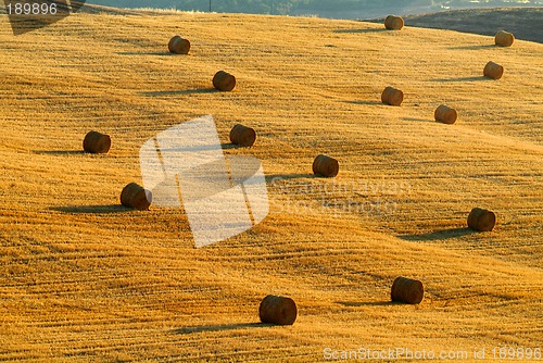 Image of strohballen | straw bale