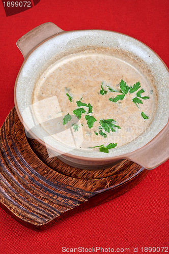 Image of Mushroom cream  soup