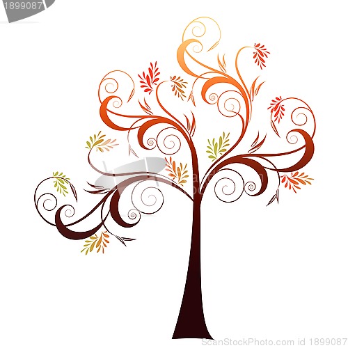 Image of Autumn Tree