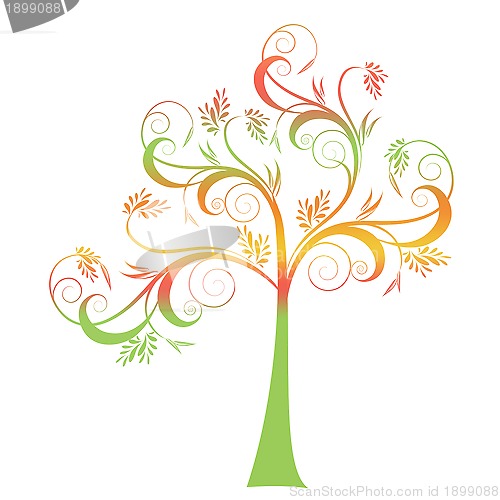 Image of Autumn Tree