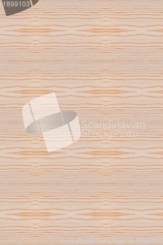 Image of Wood Texture