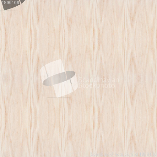 Image of Wood Texture