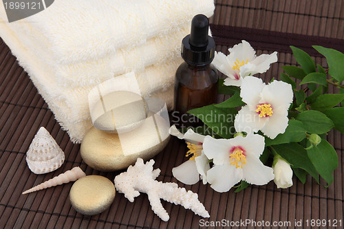 Image of Luxury Spa Treatment