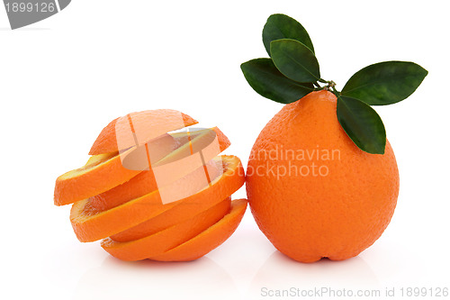 Image of Orange Fruit