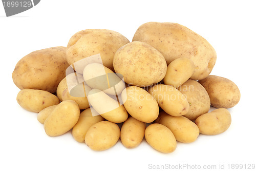 Image of Potato Selection