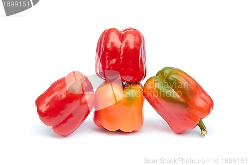 Image of Fruits of sweet pepper on white