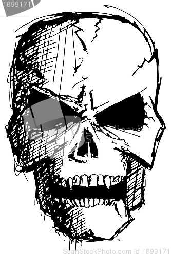 Image of Angry Monster Skull