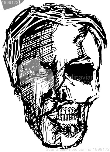 Image of Angry Monster Skull