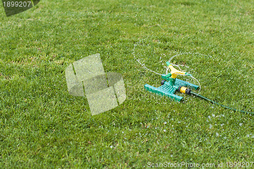 Image of Lawn sprinkler over green grass