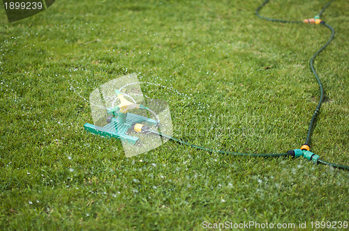 Image of Lawn sprinkler over green grass