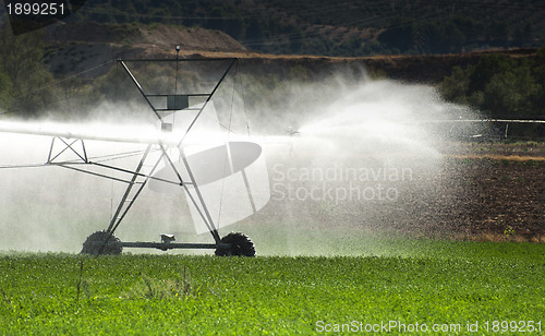 Image of Irrigation Systems 