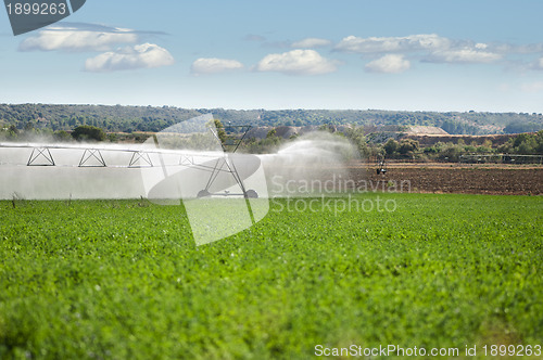 Image of Irrigation Systems 