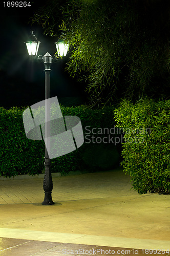 Image of Night picture of the lamp in the park